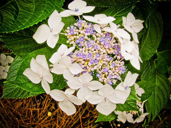 DSCN1039