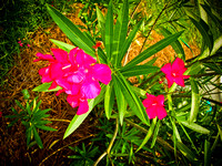 DSCN1034