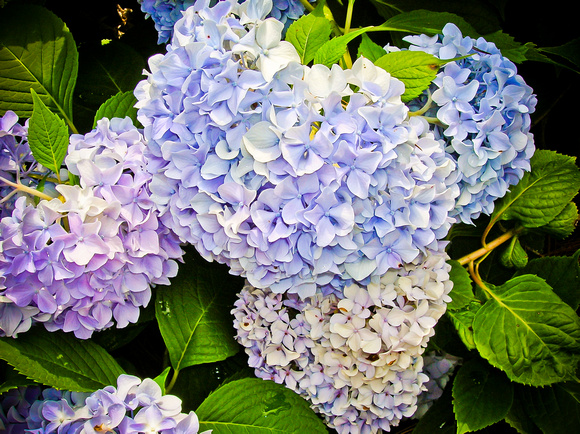 DSCN1038